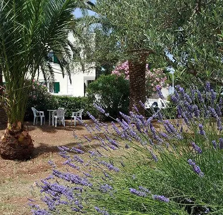 Vila Palma Casa de Férias Sutivan